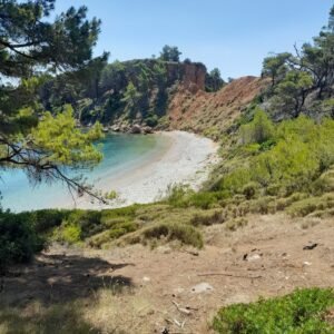 15557cb9-e578-4eed-bbc7-13c38b4fba50