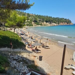 WhatsApp Image 2026-02-23 at 20.55.09 (1)