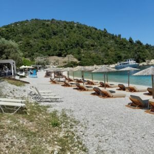 WhatsApp Image 2026-02-23 at 20.55.09