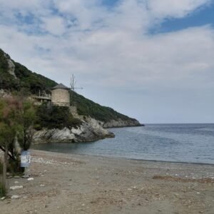 c591fdc2-4de2-486e-a447-bbcf96589522